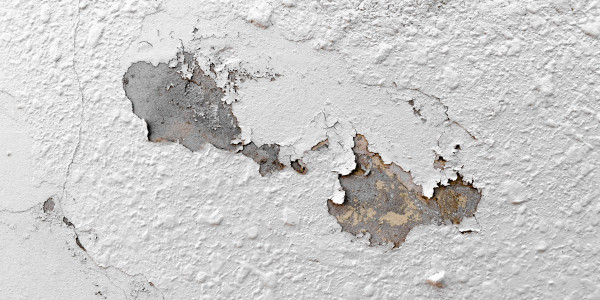 Pintar Fachadas de Naves Industriales, Fábricas y Almacenes Folgueroles · Pintura Antihumedad / Antimoho para Humedades / Moho